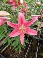 [5351 Vancouver DJ No02.JPG]